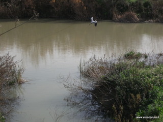 lle del Simeto-24-02-2013 10-09-46